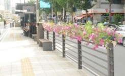 하남시 BRT정류장에 화분 설치