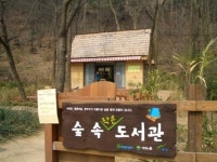 서울에 숲속 도서관이 있다?