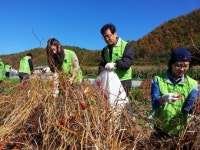 광해관리공단, 영월 1촌 마을서 봉사활동