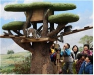 서울시, 동물 윤리위해 동물원 야생동물 권리장전 만든다