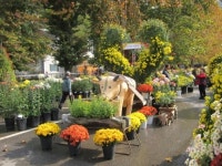눈에만 담지 말고 가을청취 느끼러 오세요