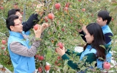 우리금융그룹, 농촌 일손돕기 나서