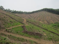 광주시 산림분야 시·군평가 우수상 수상