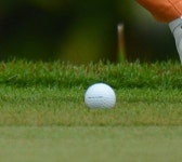 <골프 Q&A> ‘온 그린’ 여부 판단은?