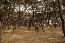 발길 닿는 곳마다 은은한 감동이 머물다. 경상북도 경주