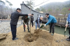 양평군, “오늘은 나무 심는 날”