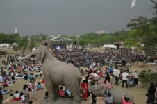 제21회 연천전곡리구석기축제 개막