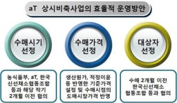 <미래의 농어촌> 농업계 지하경제 산지유통인 시장, 양지로 모인다