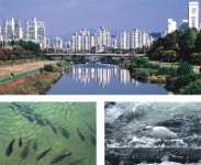 성남시 탄천 사진 100선 야외 순회 전시