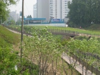 의왕시 오전동에 새로운 꽃길 공원 조성