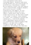 옆집 남성이 청산가리 묻힌 감자로 강아지 독살