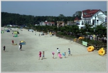 서천군, 서해안 춘장대해수욕장 개장