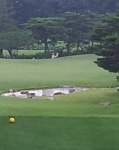 안양CC