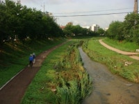 “물고기 뛰어노는 도심하천 물길따라 걸어보세요!!!”