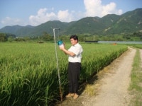 연천군, 장마철 농작물 피해예방 총력 당부