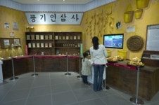영주시 인삼박물관, 휴가철 야간 관람시간 연장 운영