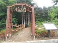 양주 숲체험으로 자연과 교감하세요!