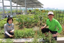 광진구, 광진정보도서관 옥상 텃밭 조성 ‘농업학교’ 운영
