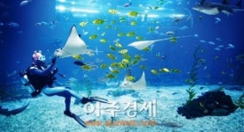 아쿠아플라넷 제주, 수험생 가족 위한 특별 이벤트