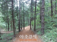 순천 봉화산 둘레길 개설 등 시민 휴식공간으로 새 단장