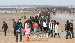 신비의 바닷길, 올해 마지막으로 열린다.