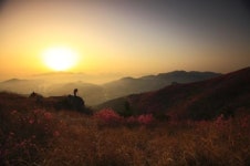 갑오년 첫 일출, 오전 7시26분 독도에서 가장 먼저