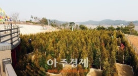 서산시, 철새 생태공원 서산 버드랜드에 ‘미로정원’ 조성