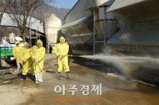 광주시 AI 차단 방역 강화 주력