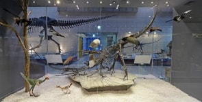 지질박물관, 깃털공룡모형 국내 첫 전시