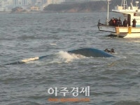 학암포항 인근 해상에서 어선 전복, 태안해양경찰서 승선원 전원 구조