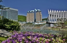 하이원리조트, 봄 패키지 출시