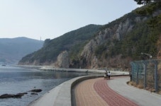 바다를 품은 길 따라 걸으며 봄을 맞다