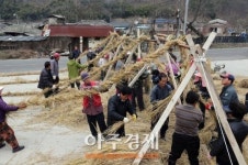 3년만에 열리는 의령큰줄땡기기 줄 제작에 군민 한마음