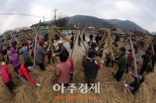 3년만에 열리는 의령큰줄땡기기 줄 제작에 군민 한마음