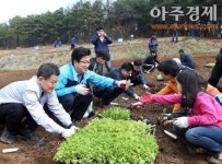 유성구, 친환경 도시텃밭 개장