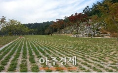 예산군, 국민여가캠핑장, 무료개방