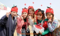 논산딸기축제, ‘달콤한 유혹’ 시작