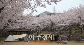 경북도, 팔공산 가산산성 야영장 전면 개장