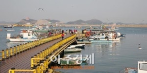서산시 대산 삼길포 관광객‘북적’.....벚꽃길 걸으며 바다에 흠뻑