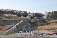군산시 대규모 도시숲 조성사업 30억 투입
