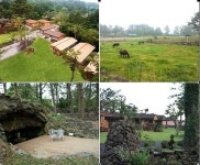 전통돌담으로 지어진 힐링공간 제주솔향기펜션