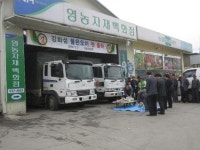 인천 강화 불은 오이 본격 출하