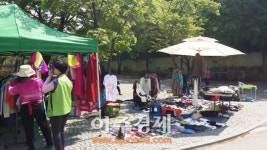 강남구, 재활용 실천행사 녹생장터 개장