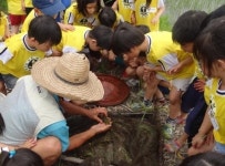강화도 농부 할아버지를 만나고 즐거운 생태체험…도감뿌리농원