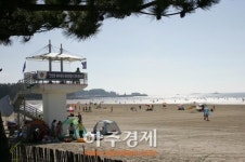 서천군, 서해안 최고의 저녁노을 .... 춘장대해수욕장 28일 개장