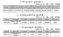 셀빅개발 처분안한 코오롱글로텍…손자회사 소유 규정 위반 ‘제재’