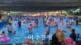 충남도 “금강자연휴양림서 시원한 휴가 즐겨요”