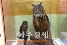 고양시 행신어린이도서관, 도서관에서 만나는 박물관 열어