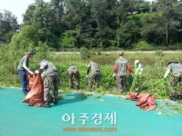 성남시 탄천 생태계 위협 위해 식물 제거