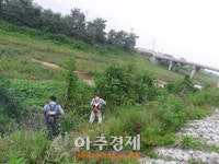 포천시자연보호협의회, 포천천 돼지풀 제거작업